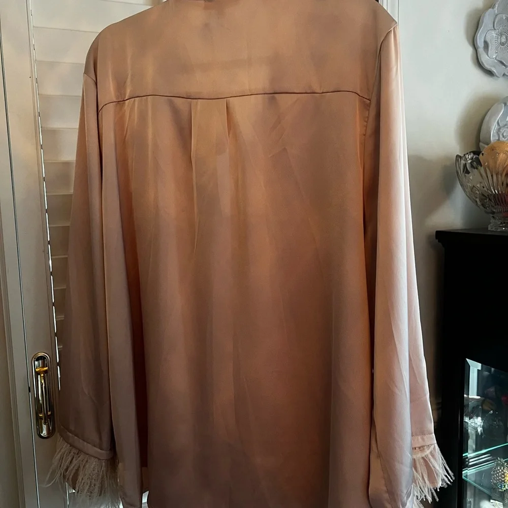 Entro Satin with feather trim Button Down Shirt in Blush - Picture 4 of 4
